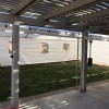 Winset Party Rental