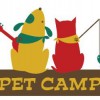 Pet Camp Cat Safari