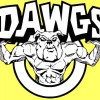 Big Dawg Bail Bonds