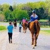 Harris Riding Academy