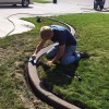Haugen's Landscaping