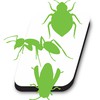 Hi-Tech Pest Control