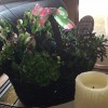 Rhapsody Floral Design