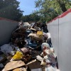 Redoak Disposal Service