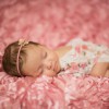 Jen Petritz Photography