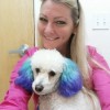 Pet Makeovers