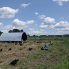 Rodale Institute Experimental Farm