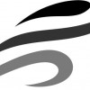 Cultivate Physical Therapy & Motion Lab
