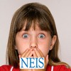 New England Insurance Services