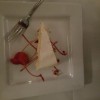 Famous Bistro