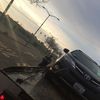 Silverline Towing
