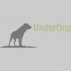 Underdog Wealth Management