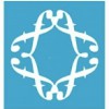 Frisco Obstetrics & Gynecology, PA