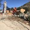 Raygoza's Tree Service