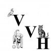 Village Veterinary Hospital