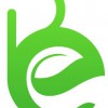 Bloom Environmental