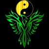 Zenith Martial Arts