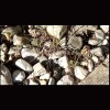 SLS Landscaping