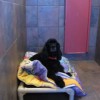 Valley Boarding Kennel
