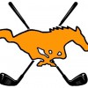 De Sales High School