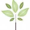 Family Tree Acupuncture