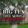 Big Tex Tree Service & Landscaping