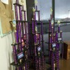 Evolve Dance Center