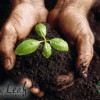 New Leaf Wellness Center