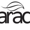 Parade Designs