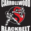 Carrollwood Auto Repair