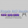 Angels Bail Bonds