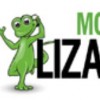 Mobile Lizard
