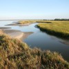 Barrier Island Ecotours