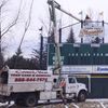 Crow's Nest Tree Services