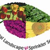 Special Landscape