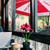 Astoria Caffe & Wine Bar