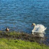 Lakeside RV Park
