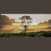 Soul Essence Wellness Center