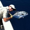 Captain Dave Perkins Fishing Charters