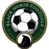 Black Horse Golf Academy