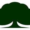Elmgren's Garden Center