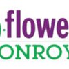 Conroy's Flowers