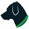 Pup Culture Dog Walking & Pet Sitting