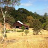 Capo Creek Winery