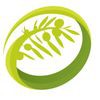 Olive Tree Physical Therapy