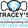 Tracey's Dog Walking & Sitting