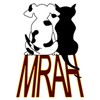 Murphy Road Animal Hospital