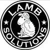 Lamb Solutions