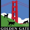Golden Gate Dog Walking
