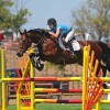 Mark West Stables